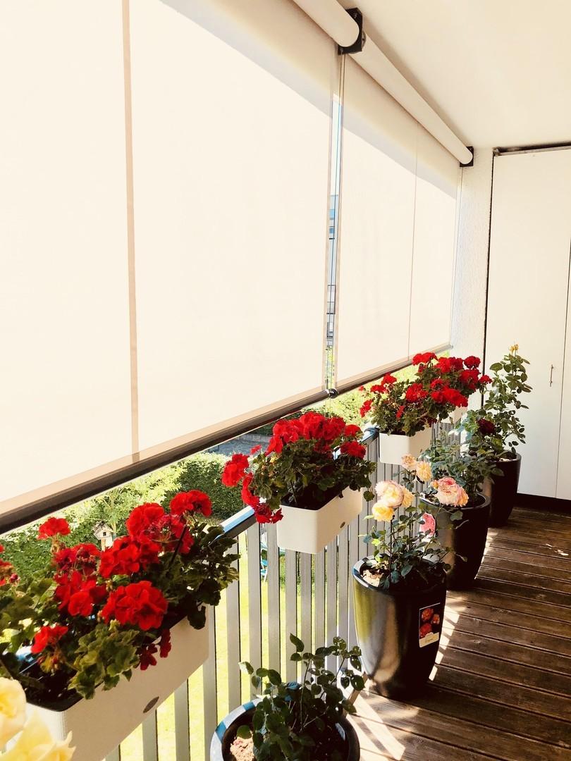 73760 Ostfildern, Stuttgart - Photo 3