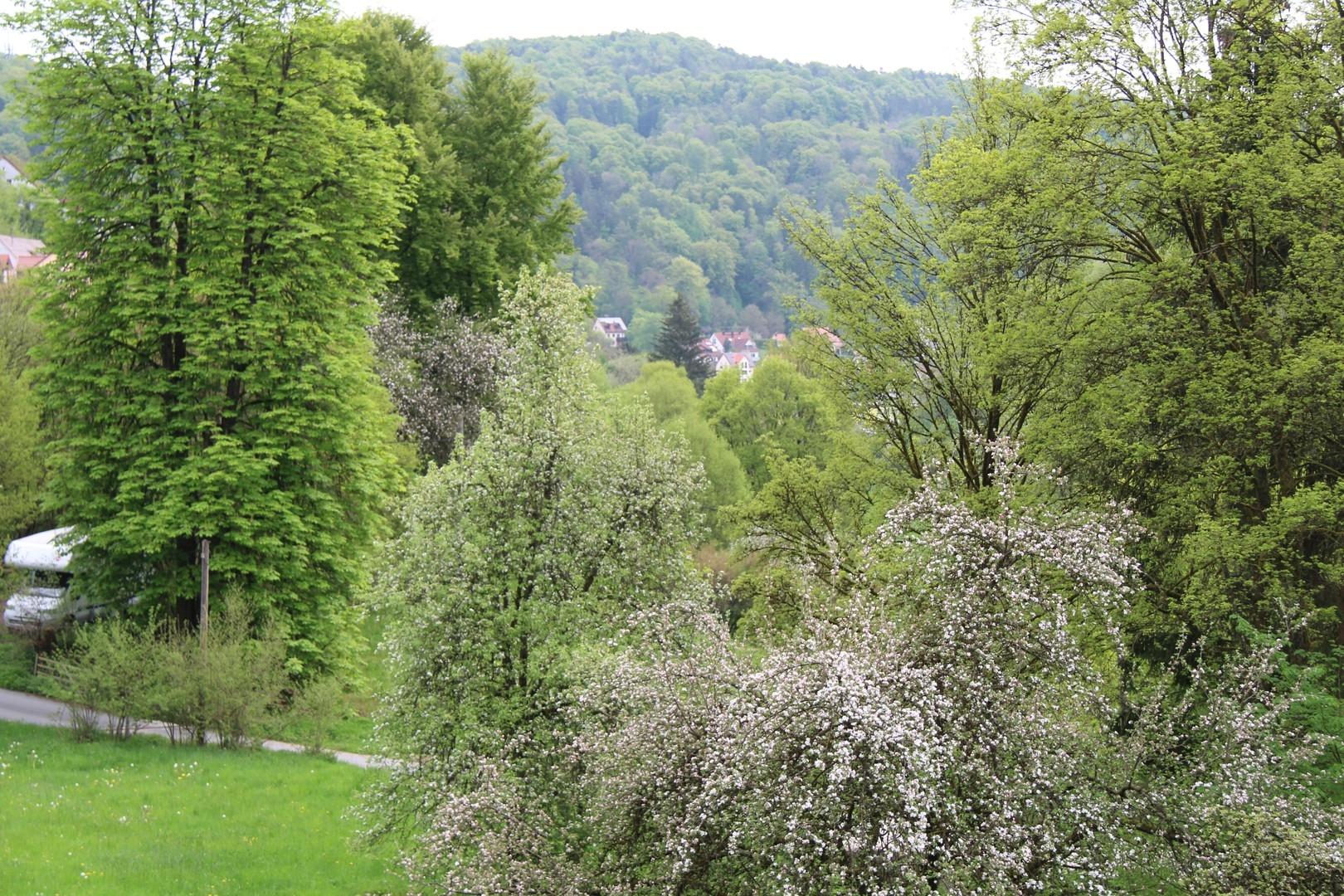 Ausblick