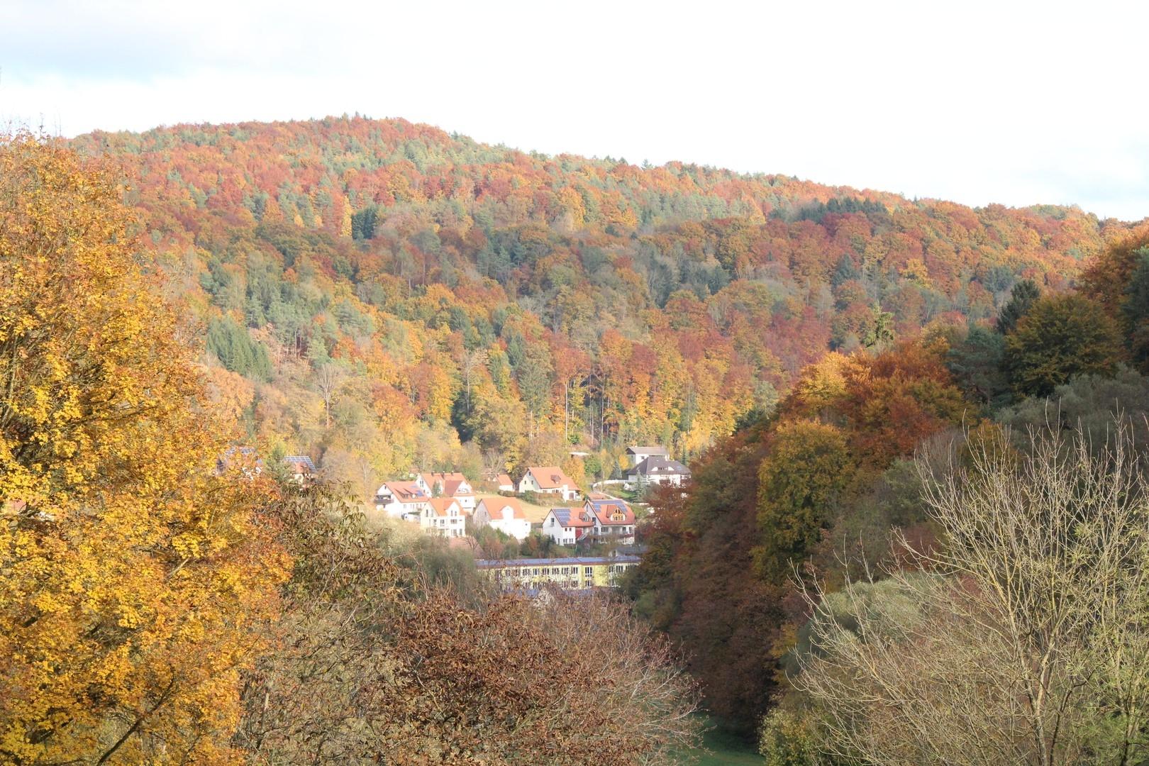 Blick vom Wohnzimmer ins Tal