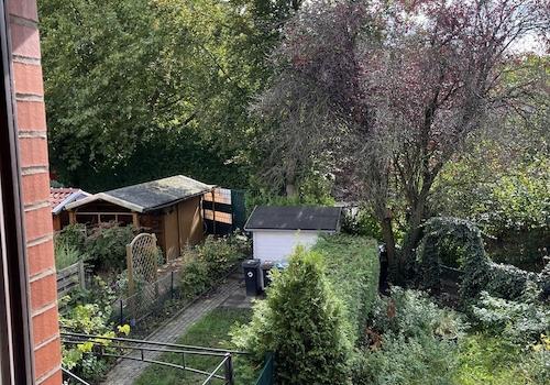 Blick in den Garten