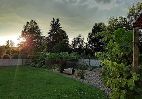 Sonnenuntergang im Grünen