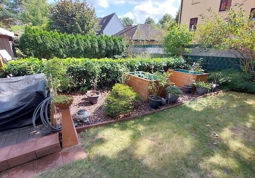 Pflegeleichter Garten