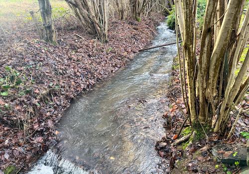 Bachlauf hinterm Haus