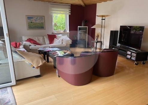 REPRÄSENTATIVES EINFAMILIENHAUS – Kirchberg i. Wald, de – Vorschaubild 9