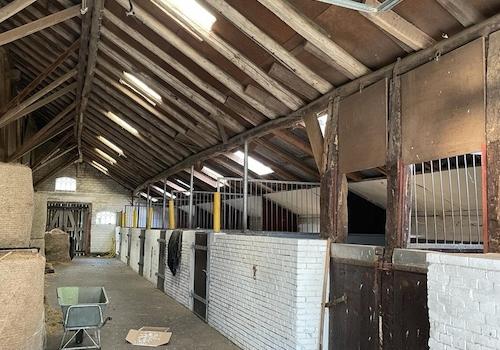 Pferdeboxen rechte Seite