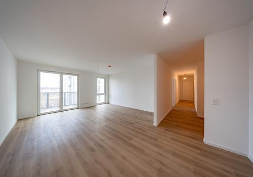 offener Wohn- Küchenbereich