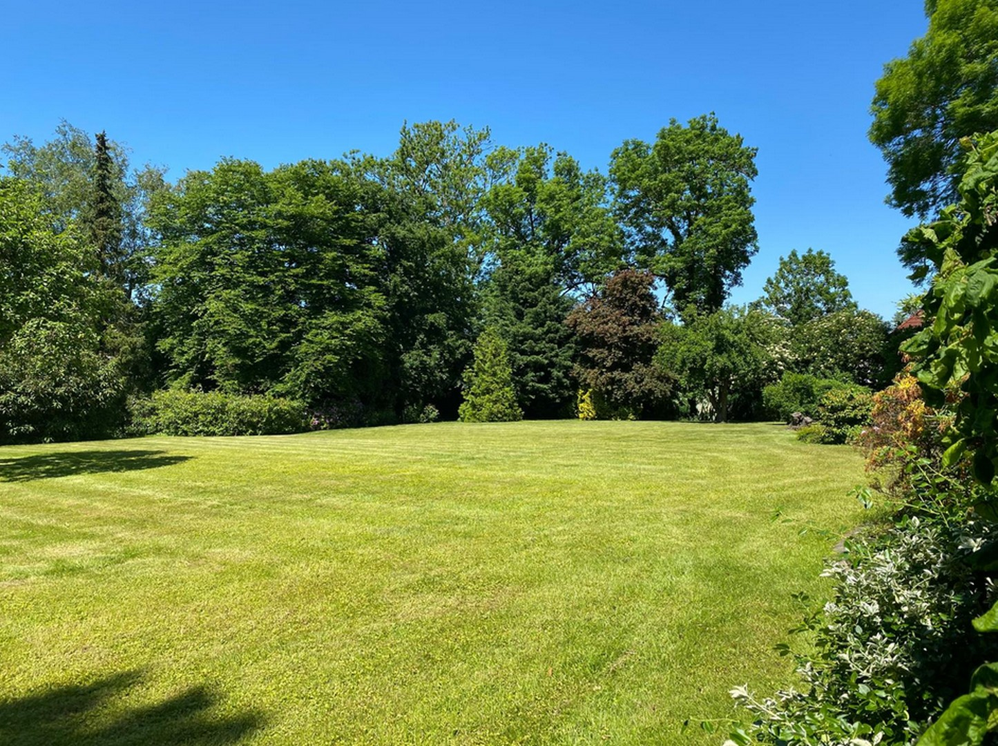 Blick in den Garten