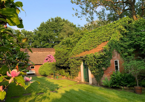 Innenhof, Garage und Schuppen