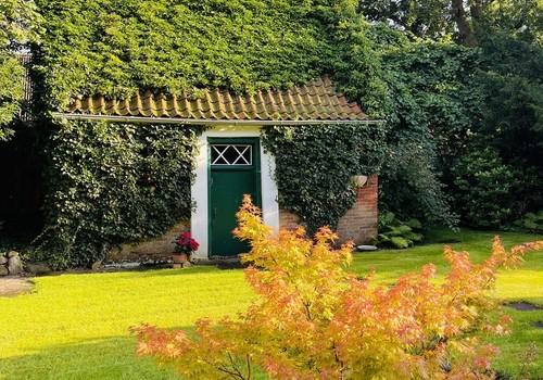 Blick auf den Holzschuppen