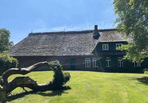 Seitenansicht des Hauses