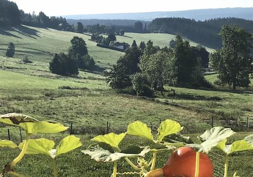 EG Hokkaido + Balkon nach Süde