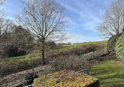 Blick aus dem Garten