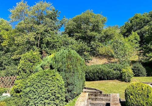 Sonnengrundstück mit Waldblick