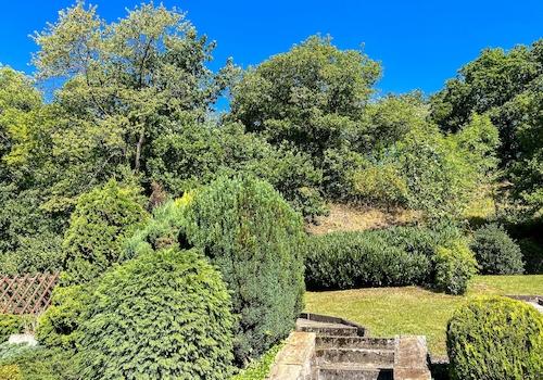 Sonnengrundstück mit Waldblick