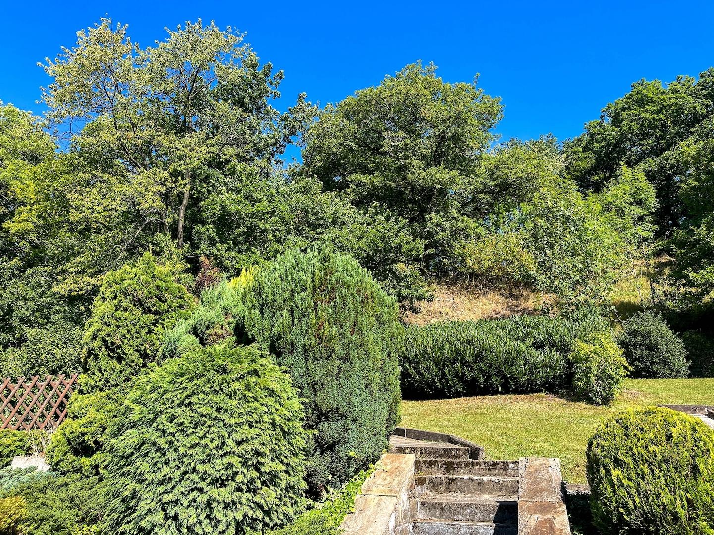 Sonnengrundstück mit Waldblick