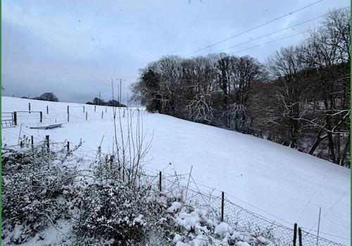 Aussicht aus dem Wohnzimmer