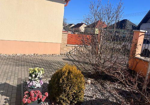 WhatsApp Image 2026-03-23 at 09.33.34 (4)