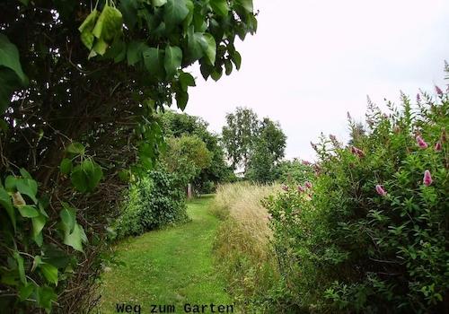 Weg zum Garten