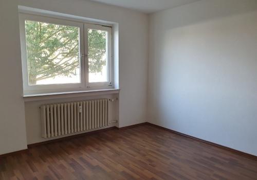 20260304_133449 (Klein).jpg