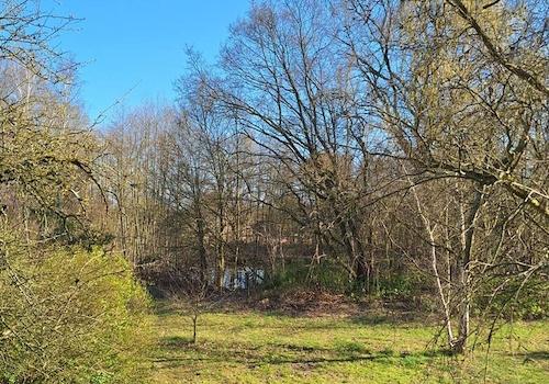 Parkähnlicher Garten #2