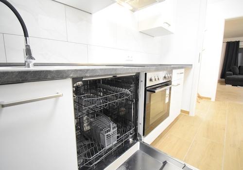 neue Küche (Spülmaschine)