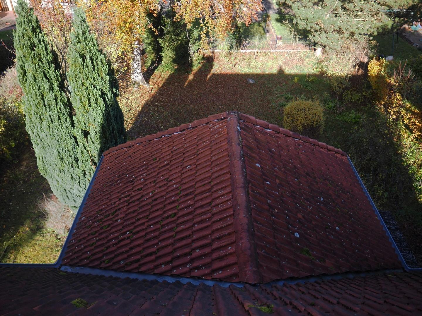 Blick auf Dach Anbau