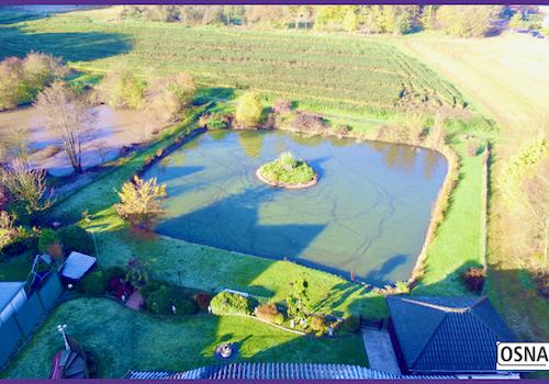 Luftaufnahme Gartenteich
