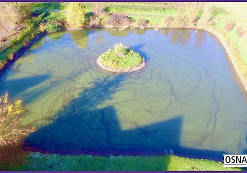 Luftaufnahme Teichanlage