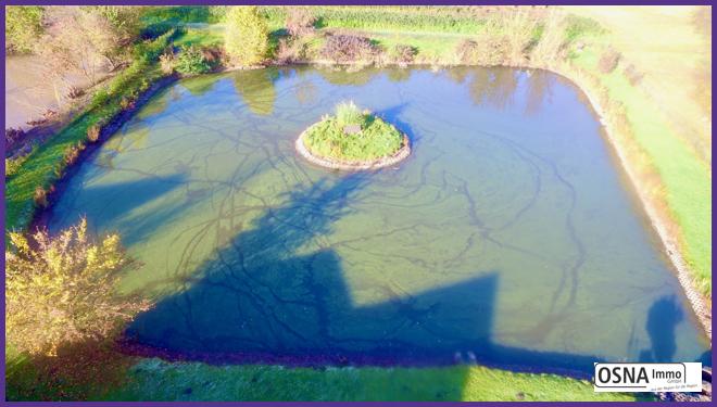 Luftaufnahme Teichanlage