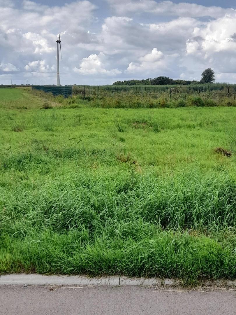 Triftweg 64