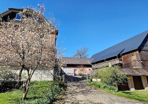 Gesamtansicht Hofstelle