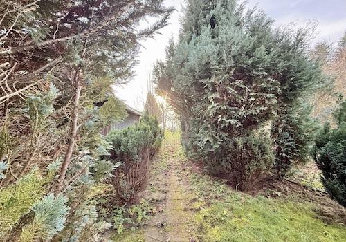 mittlere Grundstücksansicht