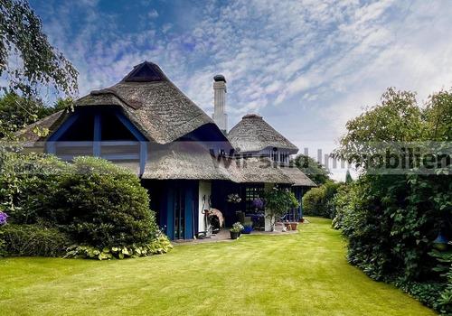 Der Blick aus dem Garten