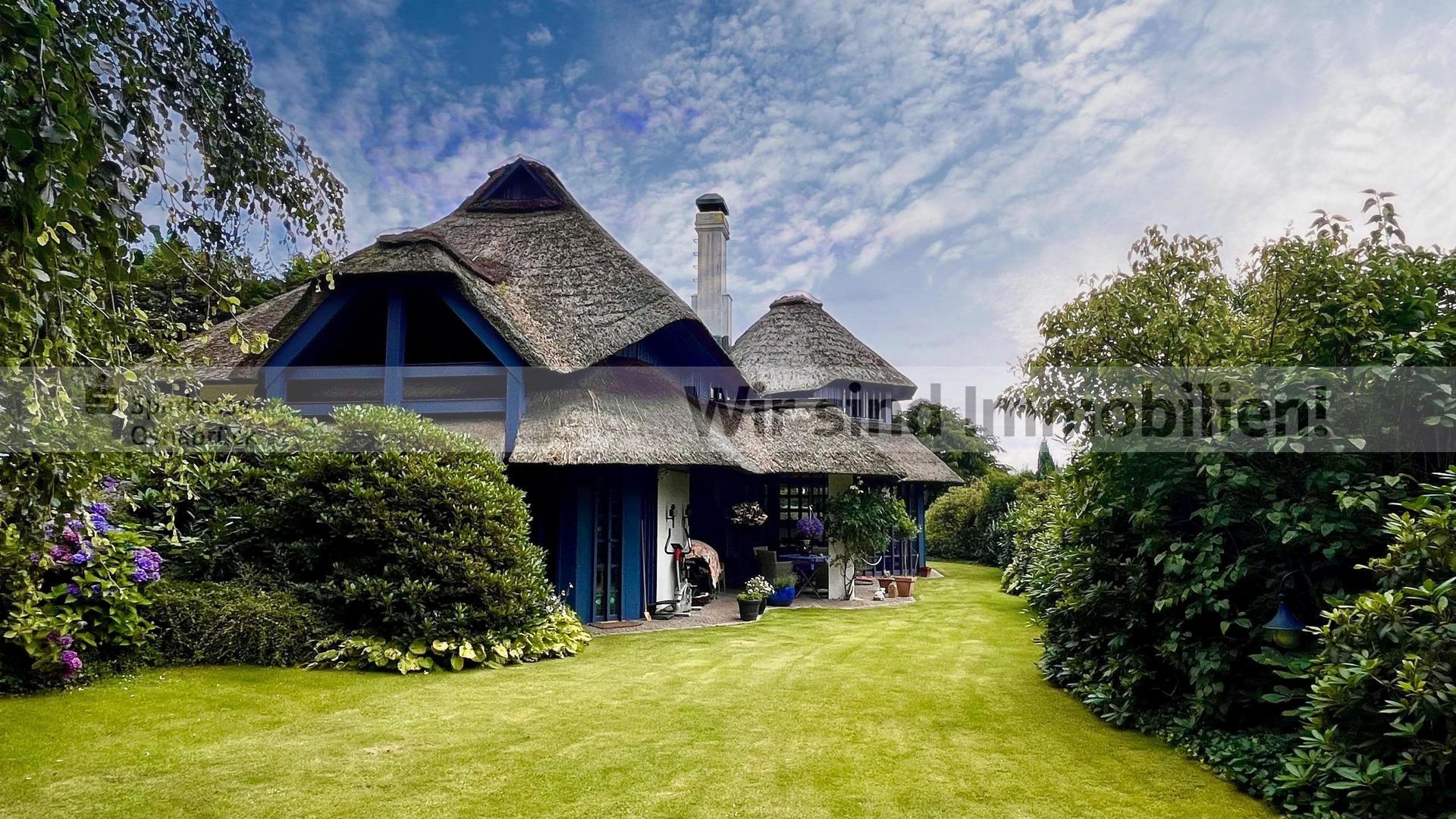 Der Blick aus dem Garten