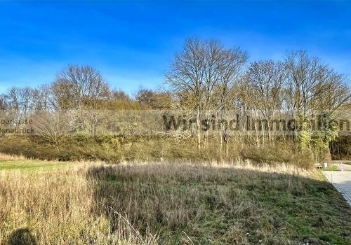 direkter Blick auf den Wald