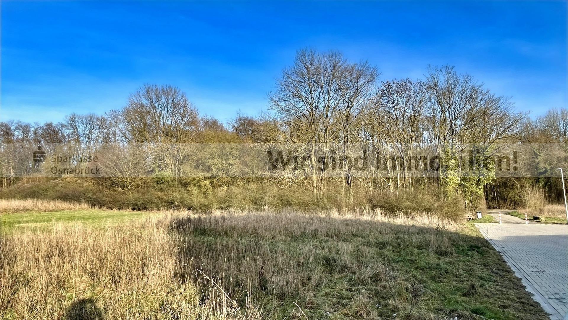 direkter Blick auf den Wald