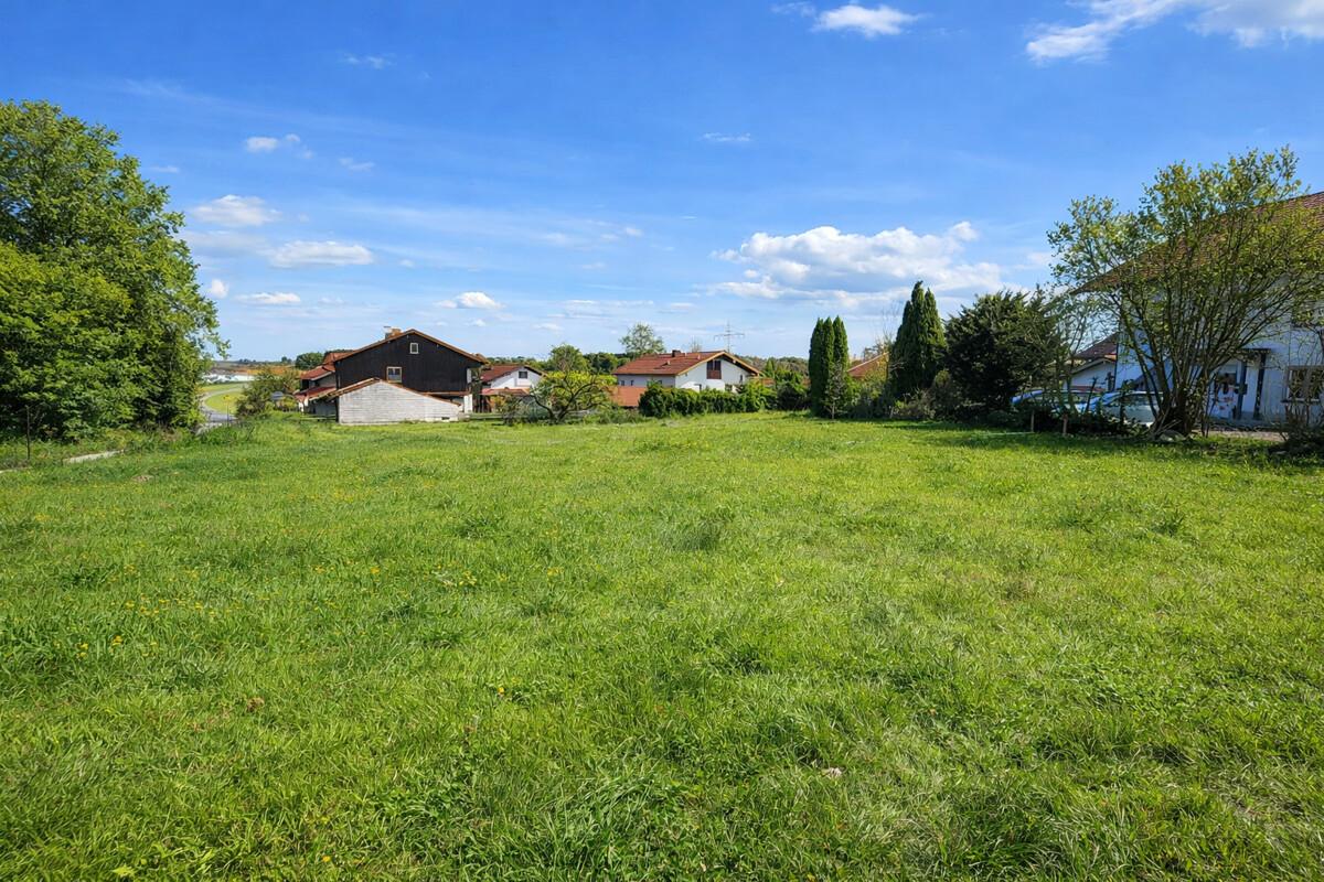 FINESTEP Immobilien
