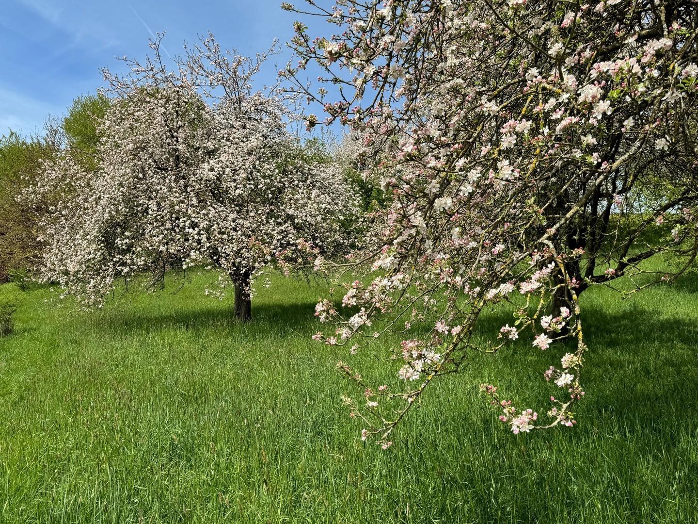 Ruhe pur