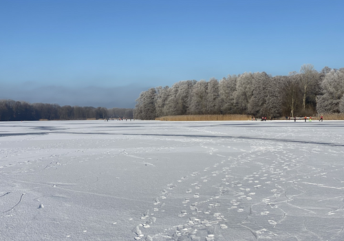 Lehnitzsee im Winter