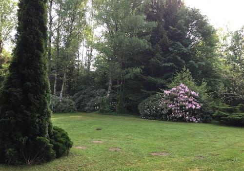 Blick in den Garten