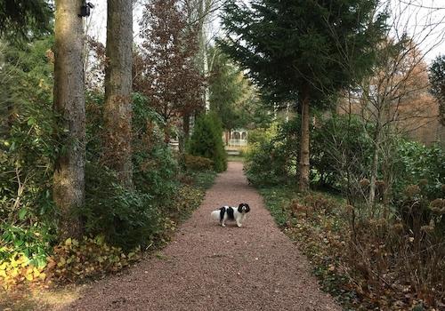 Weg zum See