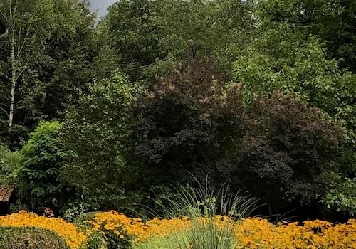 Vordergarten