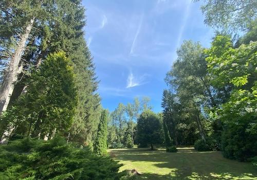 Blick in den Garten