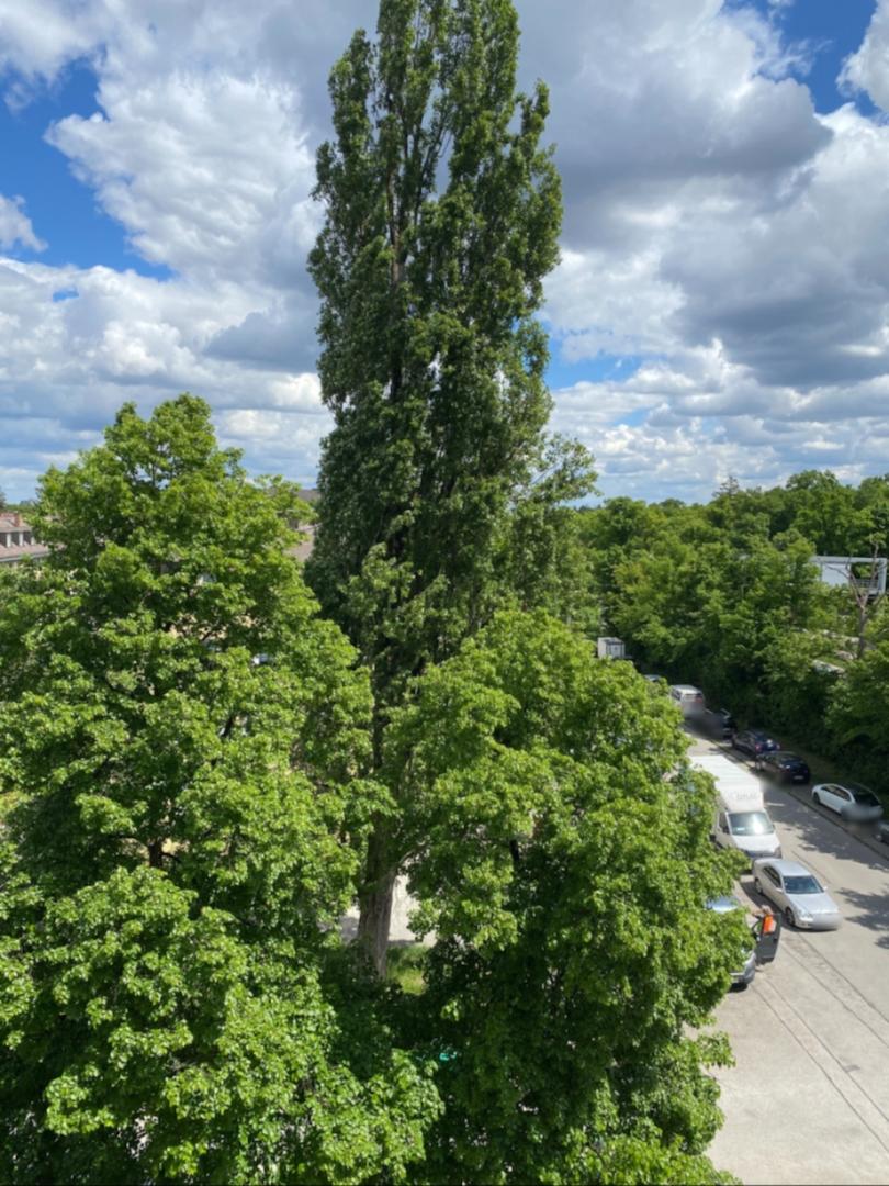 Blick aus dem Fenster