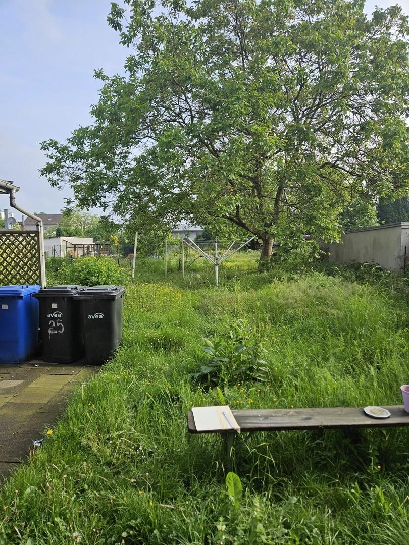 51379 Leverkusen, Cologne - Photo 3