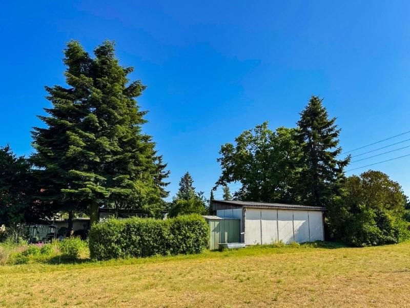 Ihre Gartenlaube (1)