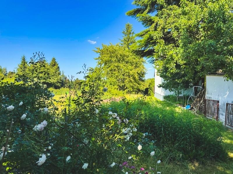 Blick von der Grundstücksmitte nach Osten