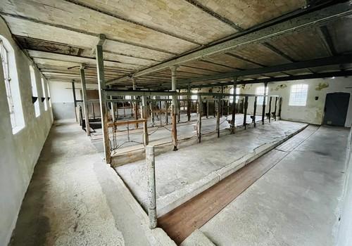 Nutzraum - Stallung 1