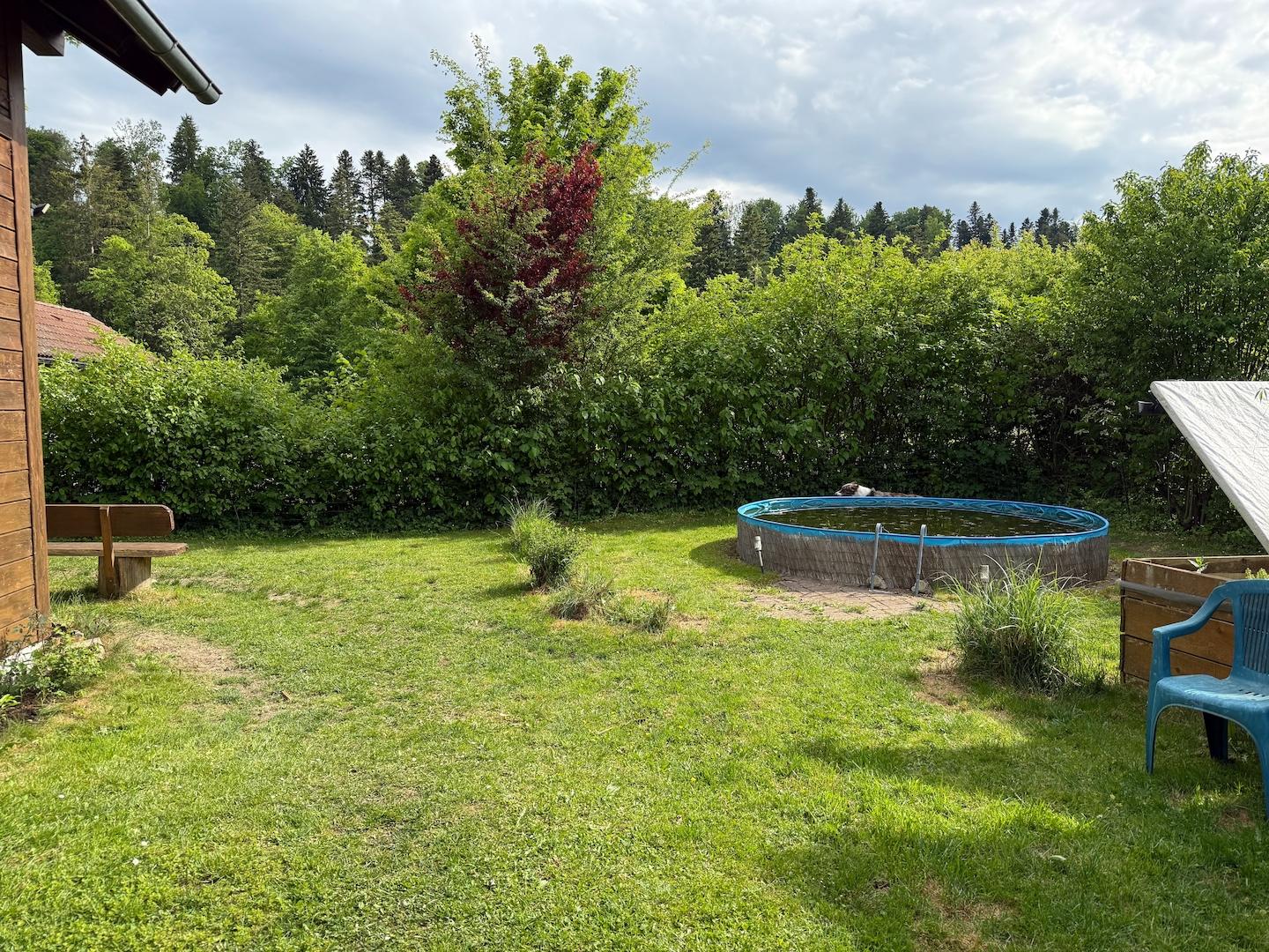 Garten mit Pool
