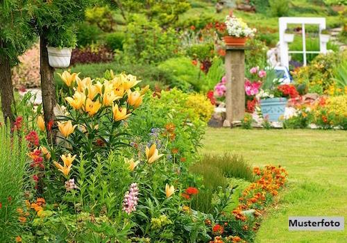 Keine Originalbilder